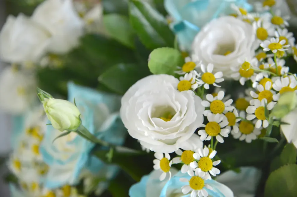 Fleuriste près de Urmatt