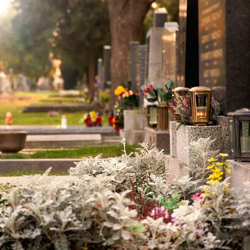 Cimetiere fleurs