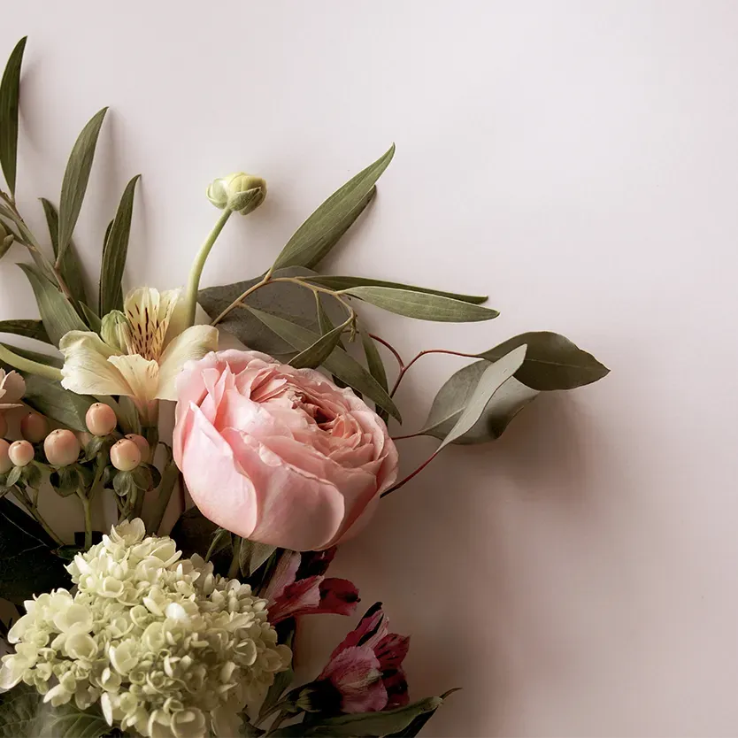 Fleurs roses