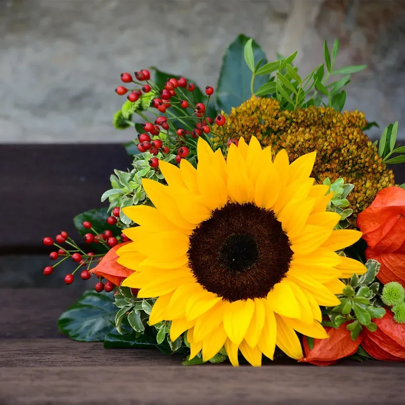 Tournesol